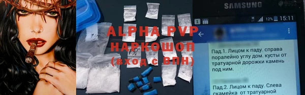 винт Алексин